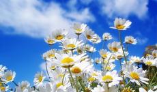 Sabah hava şəraitinin dəyişkən buludlu olacağı  gözlənilir