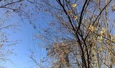 Azərbaycanda sabit hava şəraiti davam edəcək