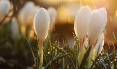 Sabah hava buludlu olacaq, bəzi yerlərdə yağış yağacaq