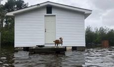 ABŞ-da “Florens” qasırğası nəticəsində ölənlərin sayı 31 nəfərə çatıb