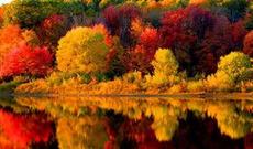 Azərbaycana payız fəsli daxil olub