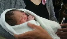 Anasının 5-ci mərtəbədən atdığı körpəni banan ağacı xilas etdi - VİDEO