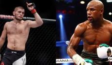 Həbib Meyvezeri döyüşə çağırdı: "Kral mənəm" (VİDEO)