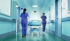 Zaqatalada yırtıcı heyvan həyətə girərək ev sahibinə xəsarət yetirib