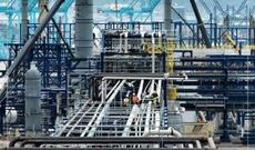 Star zavodunun açılışı keçirilir