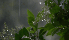 Sabah Bakıda yağış yağacaq, bəzi yerlərdə leysana keçəcək