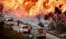 Tramp Kaliforniyanı təbii fəlakət zonası elan edib