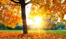 Sabah Azərbaycan ərazisində 13-15 dərəcə isti gözlənilir