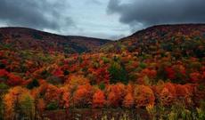 Yağışlı hava  şəraiti davam edəcək