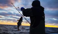 İcazəsiz balıq tutanlar 1573 manat məbləğində  cərimə edilib