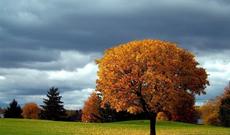 Sabah Bakıda 12-14 dərəcə isti gözlənilir