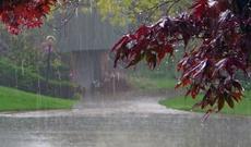 Sabah  bəzi yerlərdə yağış yağacağı gözlənilir