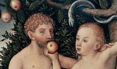 Adəm qazax olub – Alimdən şok iddia