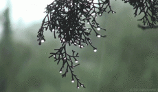 Sabah yağış və sulu qar yağacaq