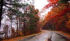 Sabah hava şəraitinin dəyişkən buludlu olacağı gözlənilir