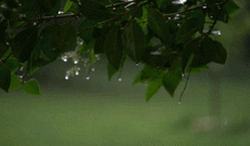 Hava şəraiti dəyişəcək, yağış və qar yağacaq