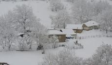 Şamaxı və Qubaya güclü qar yağır