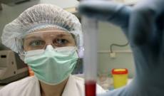 Gürcüstanda 6 nəfər “donuz qripi”ndən ölüb