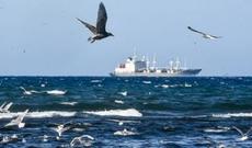 Dəniz quldurları Qvineya körfəzində Rusiyanın 6 vətəndaşını oğurlayıblar