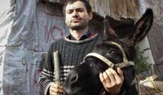 Eşşəyi dişlədi, həyatı CƏHƏNNƏMƏ DÖNDÜ: evlənə bilmir - VİDEO