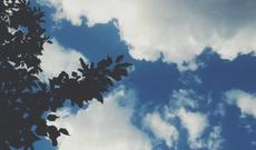 Sabah havanın dəyişkən buludlu olacağı və küləkli  keçəcəyi gözlənilir