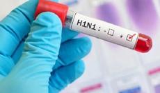 Gürcüstanda “donuz qripi” can almaqda davam edir