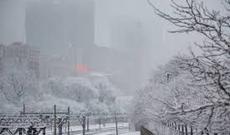 ABŞ-da dəhşətli soyuqlar başlayıb