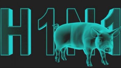 Gürcüstanda virus qurbanlarının sayı artır