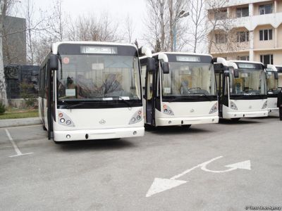 Ziya Məmmədovun avtobusları satılmır