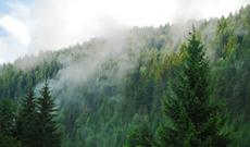 Sabah havanın dəyişkən buludlu olacağı gözlənilir