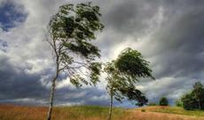 ETSN-dan xəbərdarlıq: Hava yenidən soyuyacaq