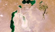 Aral dənizi meşə zolağına çevriləcək