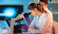 Azərbaycanda bu virusu qəsdən yayırlar? - Açıqlama