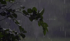 Sabah bəzi yerlərdə yağış yağacağı gözlənilir