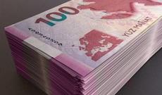 Problemli kreditlərə görə təzminat alacaq şəxslərin SİYAHISI açıqlandı