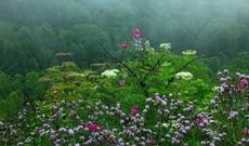 Sabah havanın dəyişkən buludlu olacağı, bəzi yerlərdə yağış yağacağı gözlənilir