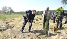 Sumqayıt şəhərində jurnalistlər ağac əkdi