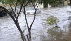 Güclü yağışlar Gəncədə fəsadlara yol açıb