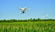 Azərbaycan fermerlərinə dronlar veriləcək