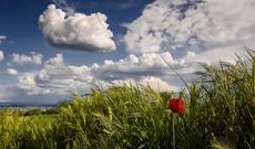 Mayın 20-dən 21-nə keçən gecə bəzi yerlərdə qısamüddətli yağış yağacağı gözlənilir