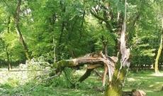 Güclü külək Ağsu və İsmayıllıda fəsadlar törətdi