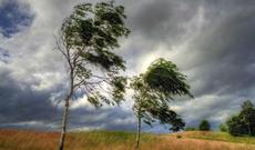 Güclü külək Qusar rayonunun 70 faizini işıqsız qoyub