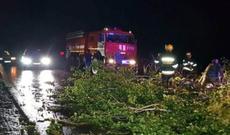 Göyçayda güclü  külək fəsadlara yol açıb