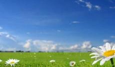 Sabah respublikamızın ərazisində 33-38 dərəcə isti gözlənilir