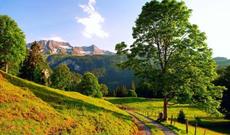 Sabah respublikamızın ərazisində isti havalar davam edəcək