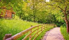 Sabah respublikamızın ərazisində 30-35 dərəcə isti gözlənilir