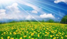 Sabah respublikamızın ərazisində 33-38 dərəcə isti gözlənilir