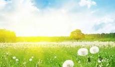 Sabah Azərbaycan ərazisində 38-40 dərəcə isti gözlənilir