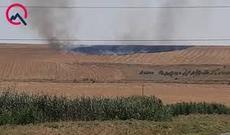 Göyçayda taxıl sahəsi yanır